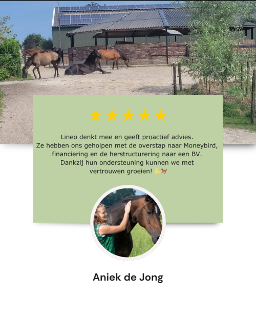 Klantcase: De Jong Horses & Lineo Accountants